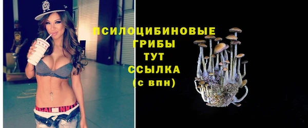 МДПВ Волосово