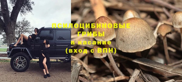 МДПВ Волосово